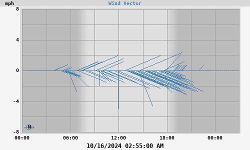 Wind Vector